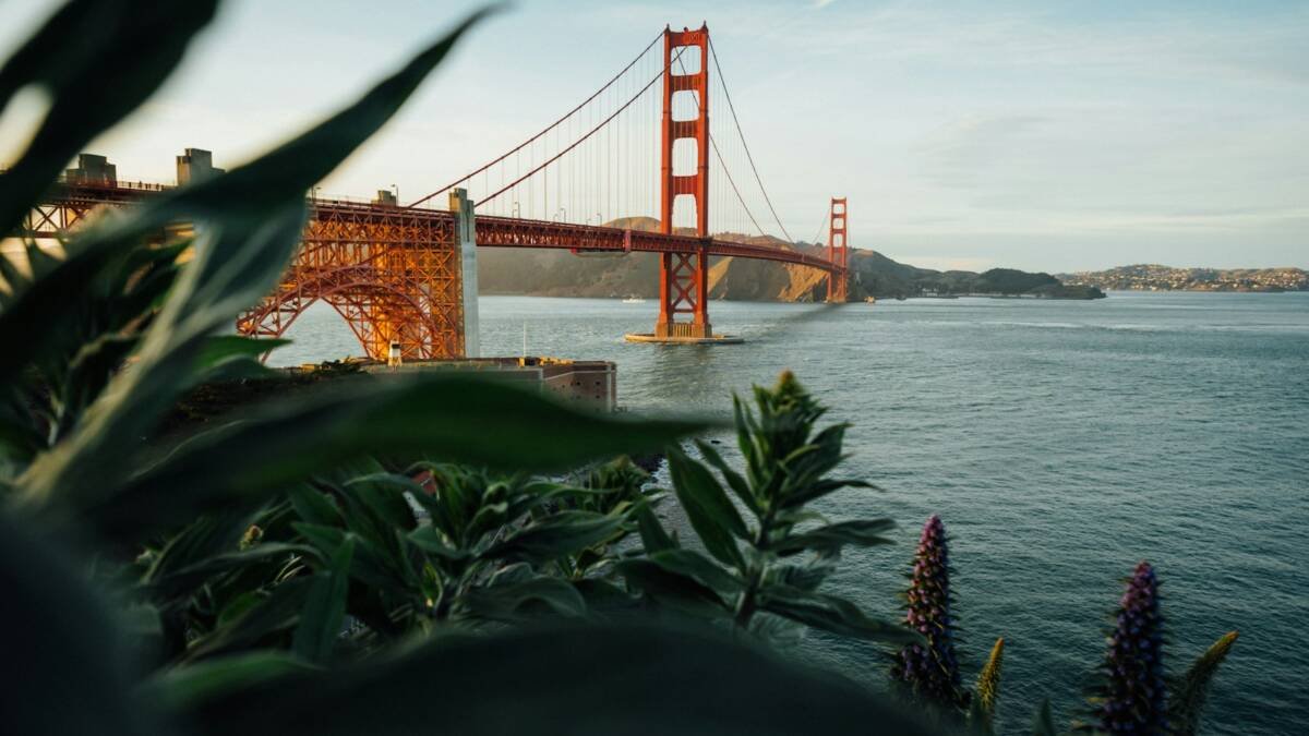 Photo by Tim Foster on Unsplash