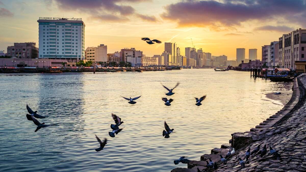 Photo by Walid A on Unsplash