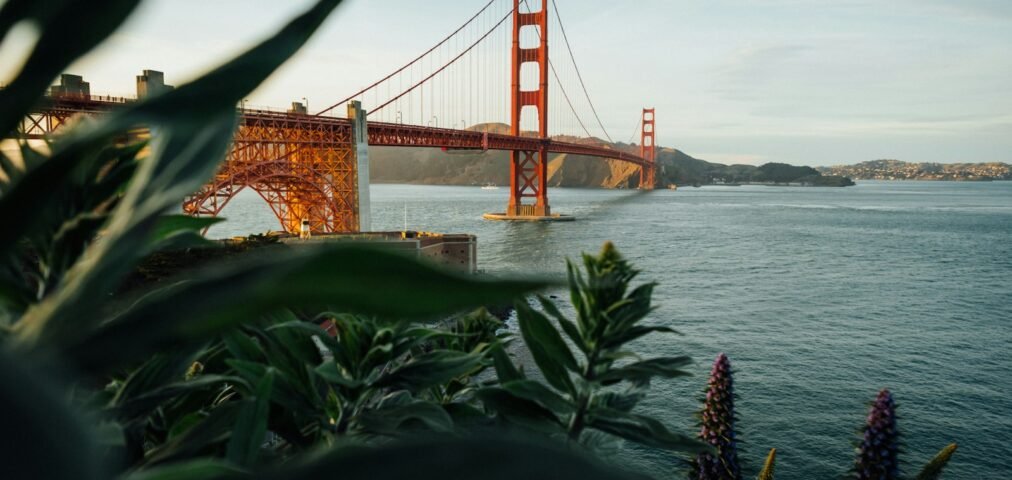 Unsplash License, library id unsplash-o4mP43oPGHk
