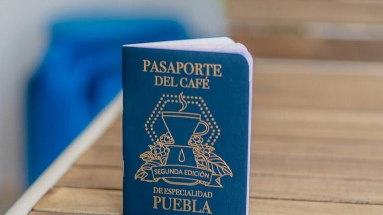 What Happens If You Lose Your Passport After Getting a Schengen Visa?