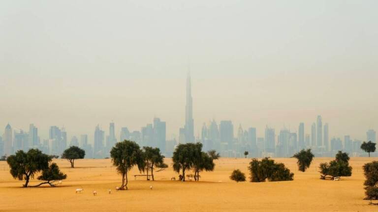 Qatar Visa for UAE Residents: Hayya A2 Guide