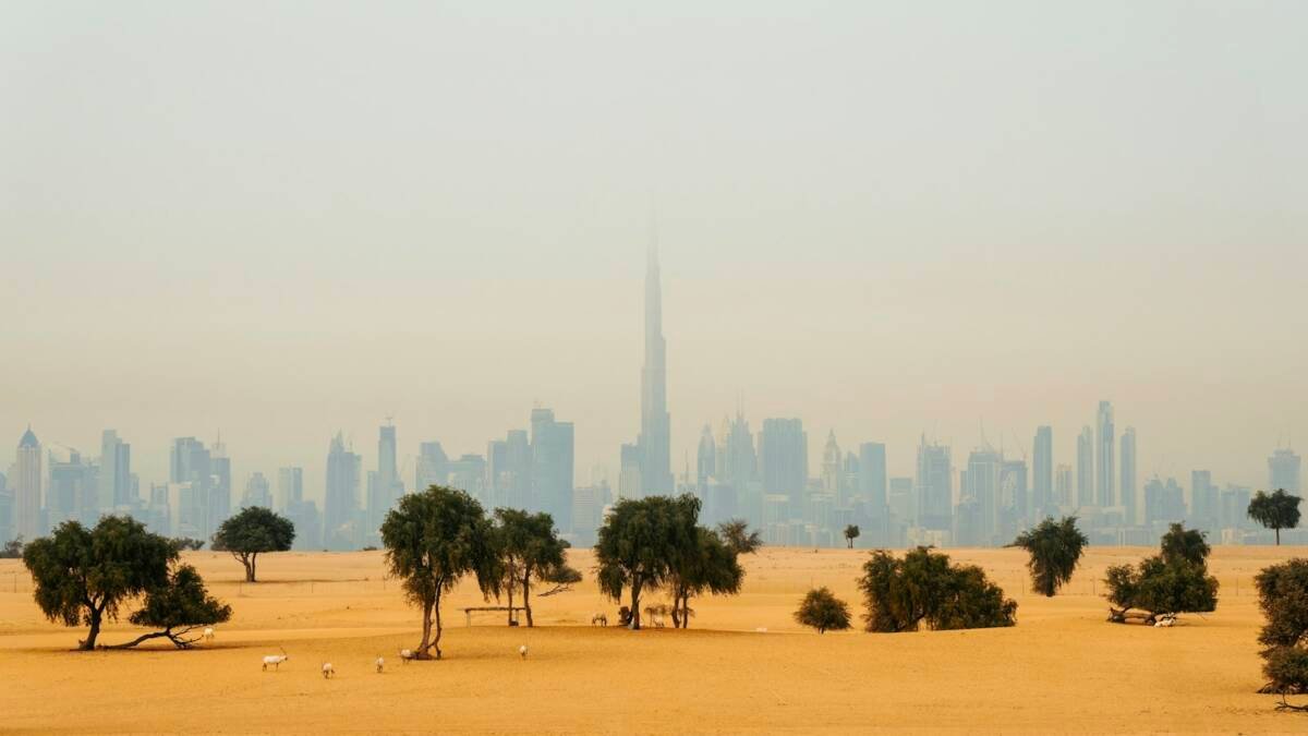 Photo by Ahmed Galal on Unsplash